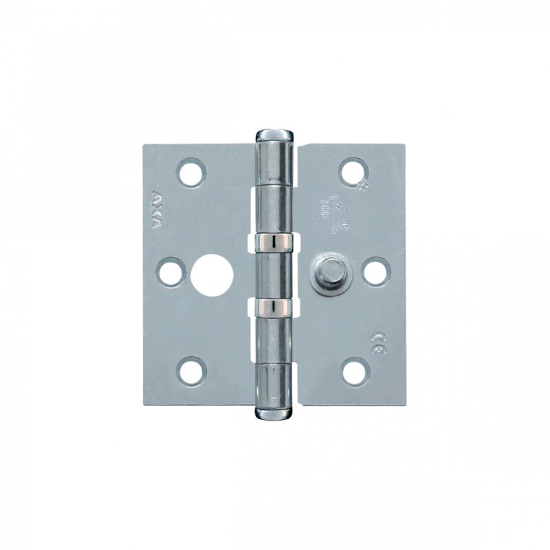 Axa Safety Ball Bearing Hinge