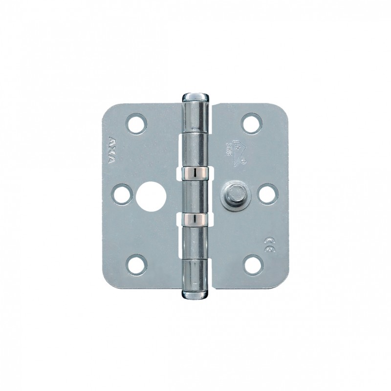 Axa Safety Ball Bearing Hinge