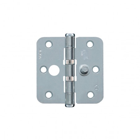 Axa Safety Ball Bearing Hinge