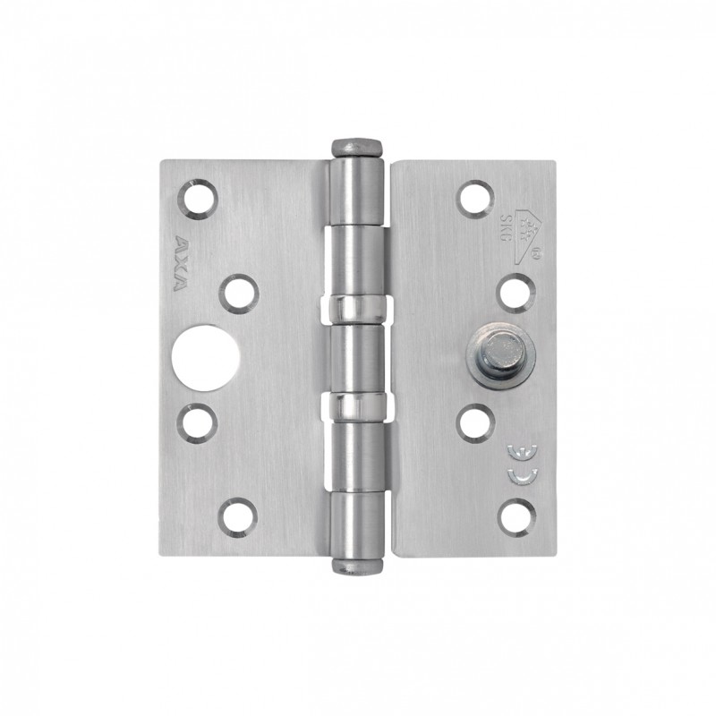 Axa Safety Ball Bearing Hinge