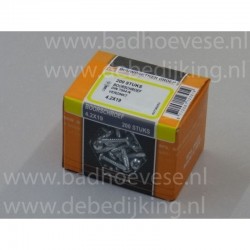ProfPartner  Boorschroef   4.2 X 19
