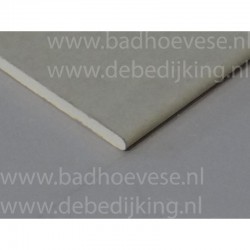 gipsplaat 09,5 mm. RK 060 x 420