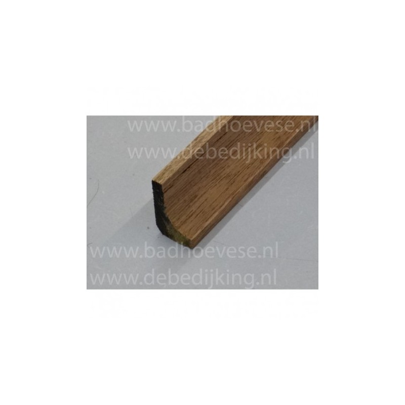 Elephant Hardhout hollat