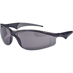 Safety glasses Diem SW 2004