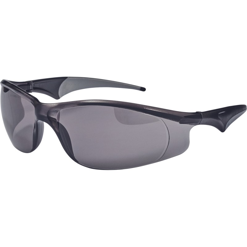 Safety glasses Diem SW 2004